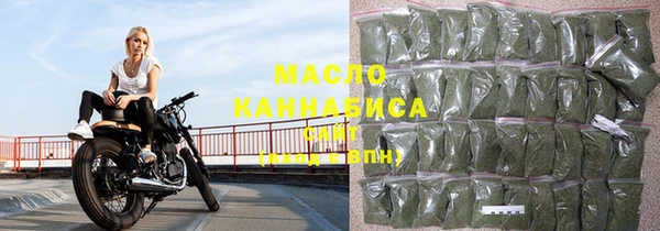 молекула духа Новозыбков