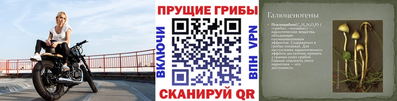 Галлюциногенные грибы Magic Shrooms  blacksprut ссылки  Алатырь 